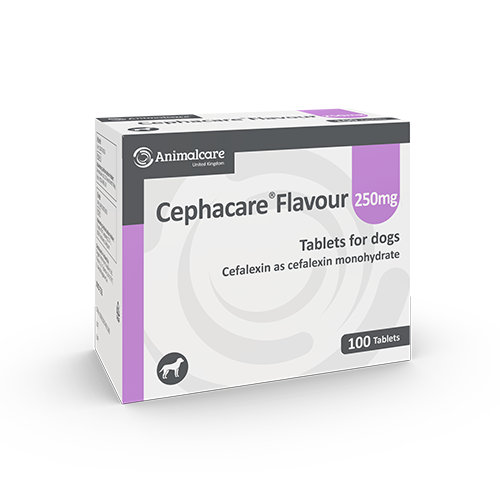 Cephacare Tablets for Dogs