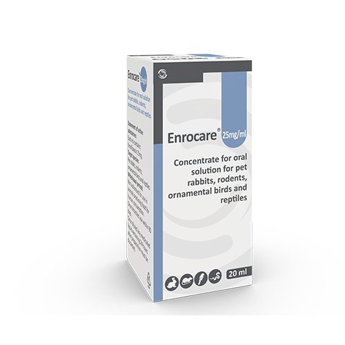 Enrocare Oral Solution 25mg/ml