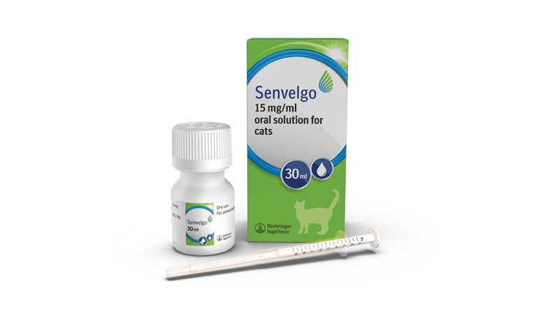 Senvelgo 15mg/ml Oral Solution for Cats 30ml