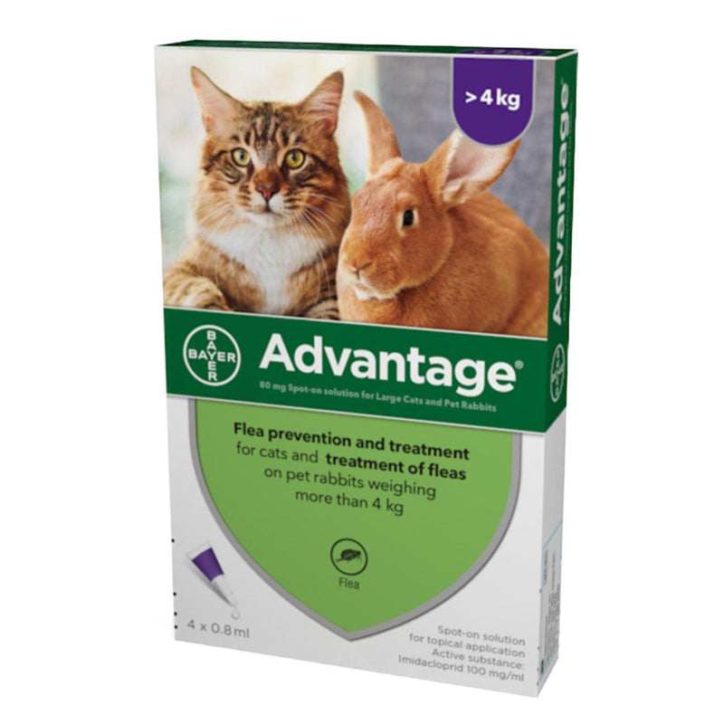 Advantage 80 Flea Treatment >4kg (Large Cat/Rabbit)