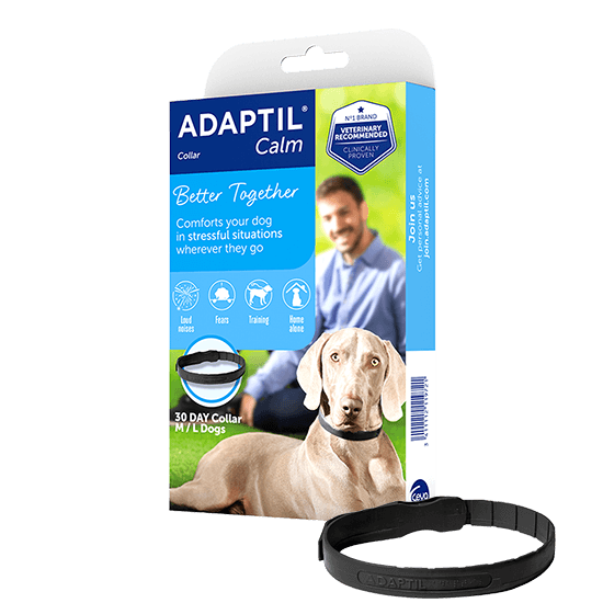 Adaptil Dog Collar PetCounter