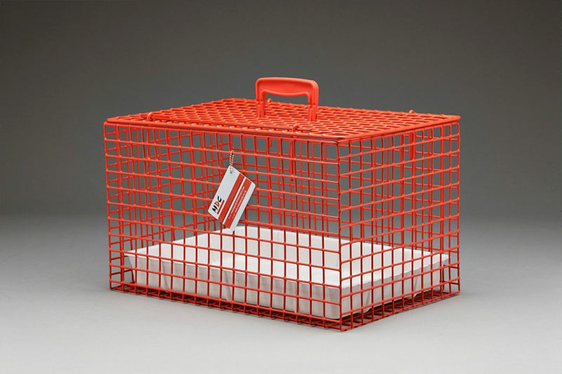 Wire Cat Basket Red