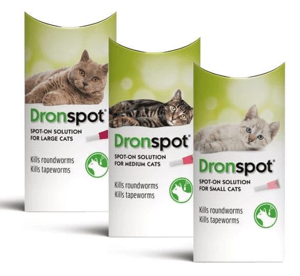 Dronspot Worming Spot On for Cats