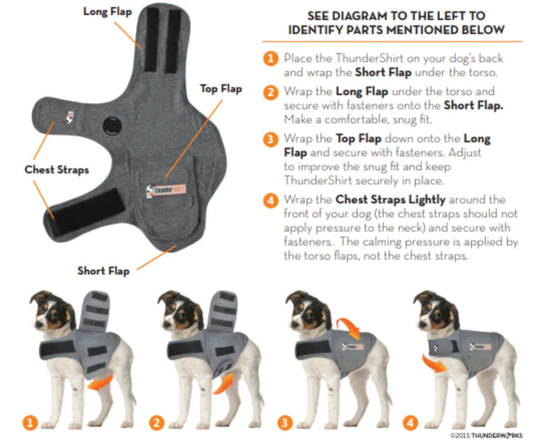 ThunderShirt for Dogs PetCounter