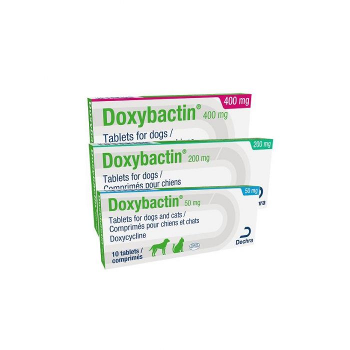 Doxybactin Tablets for Dogs & Cats 50mg