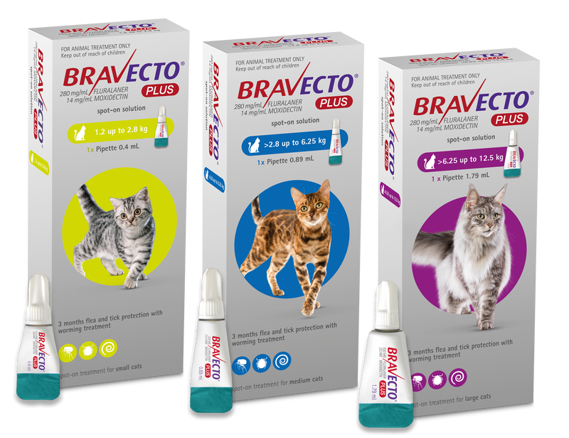 Bravecto Plus Spot On for Cats