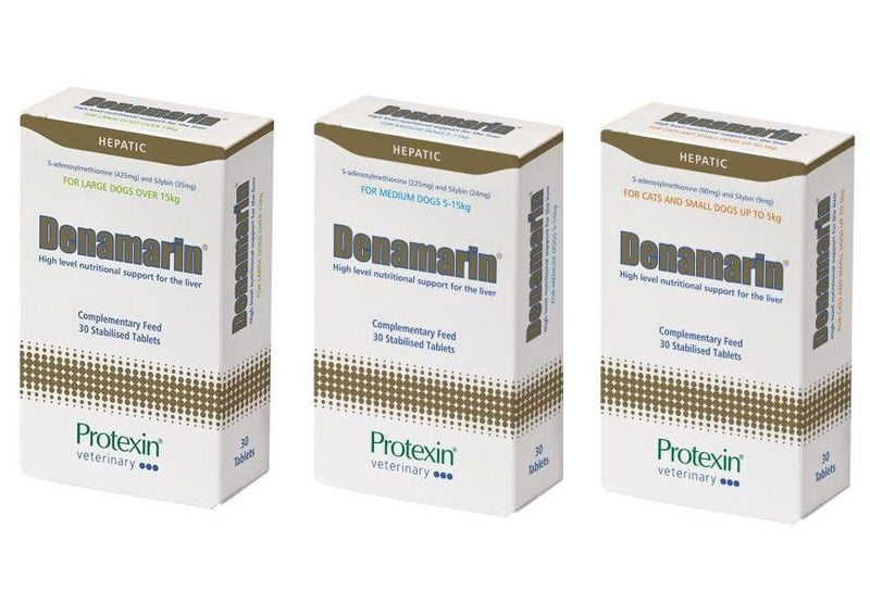 Protexin Denamarin Tablets for Dogs & Cats