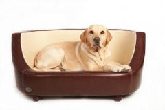 Beds & Bedding