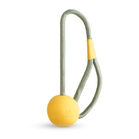 Beco Slinger Ball for Dogs