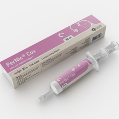 PerNic Cox Joint & Mobility PasteSyringe 30ml