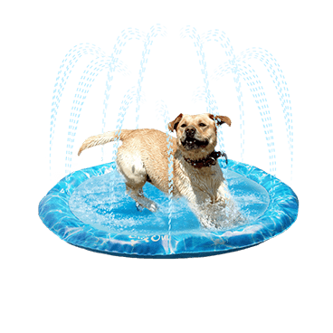 All For Paws Chill Out Sprinkler Fun Mat