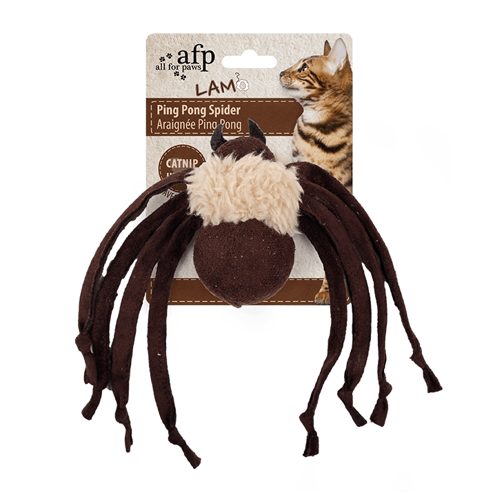 All For Paws Ping Pong Spider Cat Toy