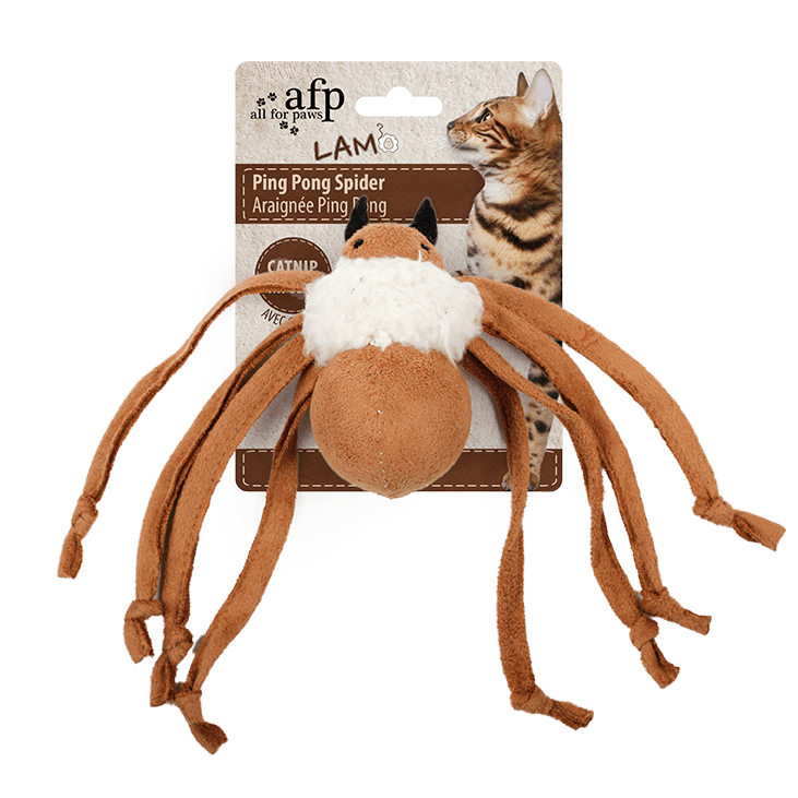 All For Paws Ping Pong Spider Cat Toy