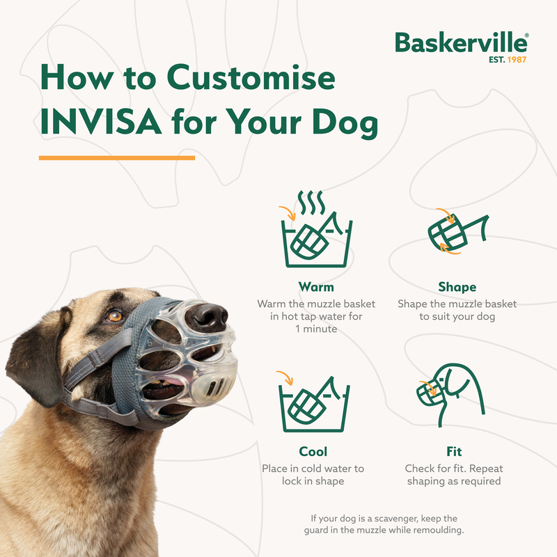 Baskerville Invisa Muzzle