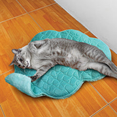 Kong PlaySpaces Cloud for Cats