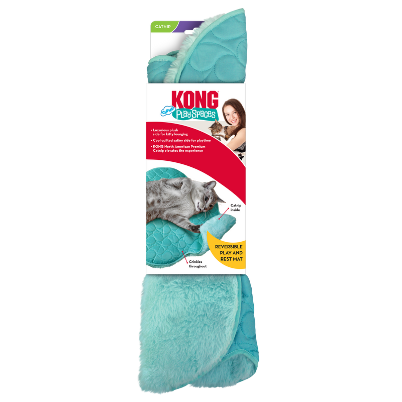 Kong PlaySpaces Cloud for Cats