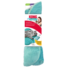 Kong PlaySpaces Cloud for Cats