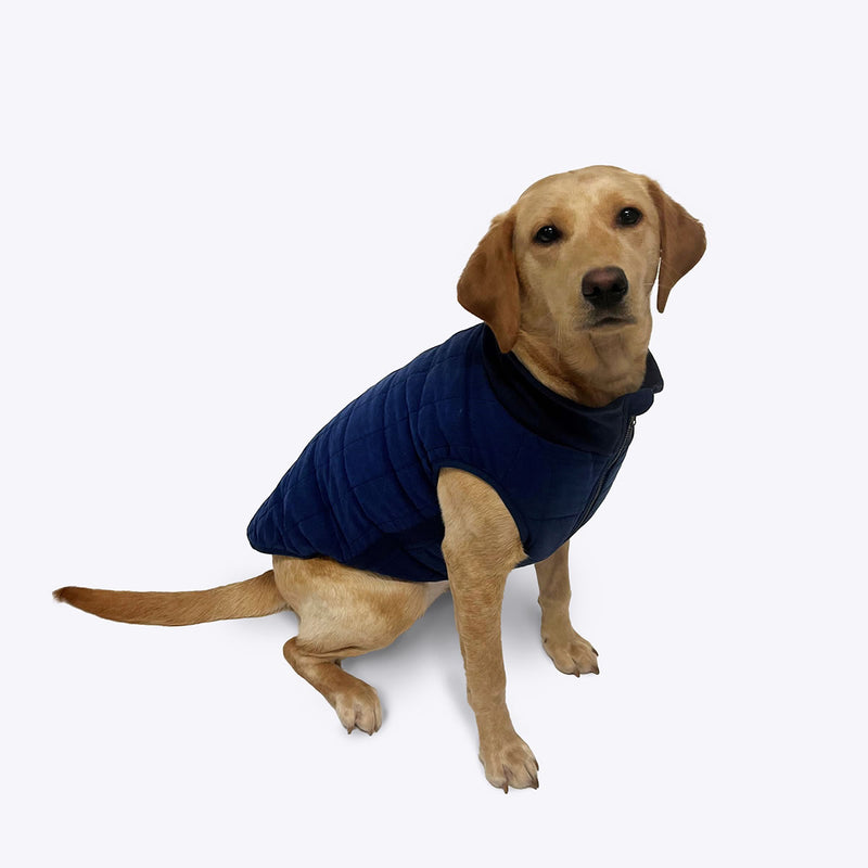 Fatface Harley Puffer Jacket for Dogs