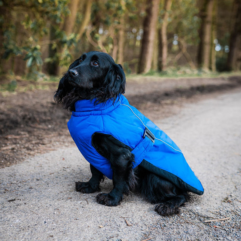Danish Design Sports Luxe Dog Coat Blue