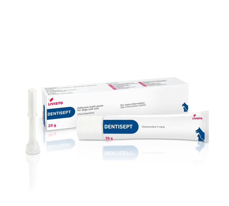 Dentisept Oral Paste