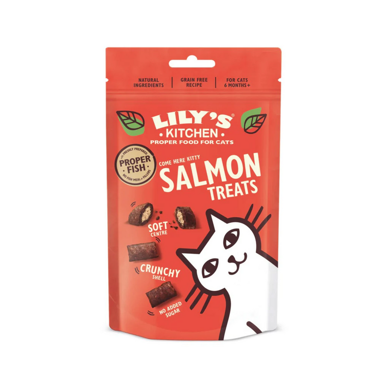 Lily's Kitchen Cat Pillow Treats with Salmon 60g