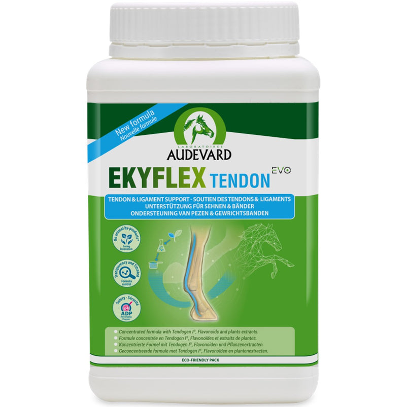 Audevard Ekyflex Tendon Evo for Horses