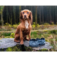 Henry Wag Foldable Pet Travel Bowl Set