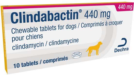 Clindabactin Tablets for Dogs