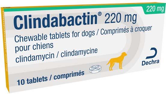 Clindabactin Tablets for Dogs