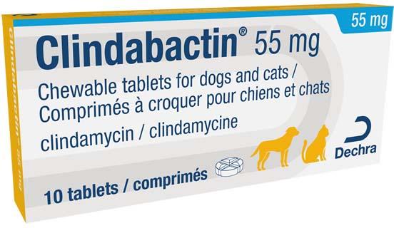 Clindabactin Tablets for Dogs & Cats 55mg