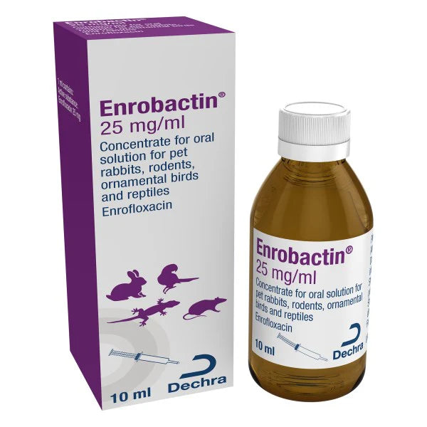 Enrobactin 25 mg/m Oral Solution 10ml