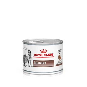 Royal Canin Recovery Canine/Feline Wet Tins