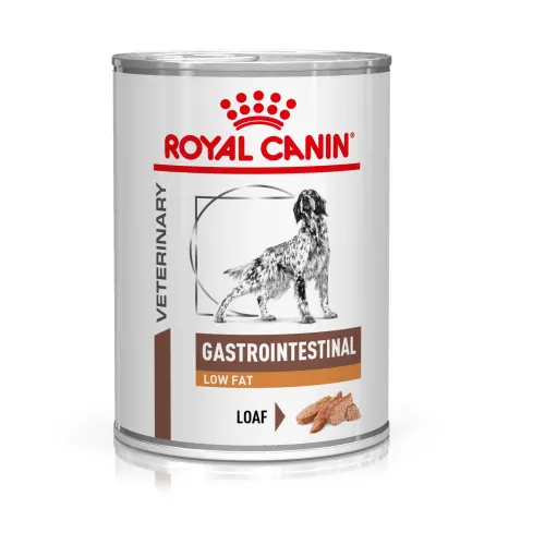Royal canin gastrointestinal low fat dog food best sale