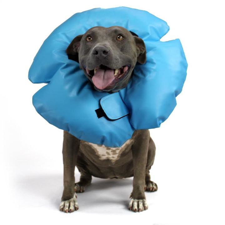 Air-O Inflatable E-Collar for Dogs