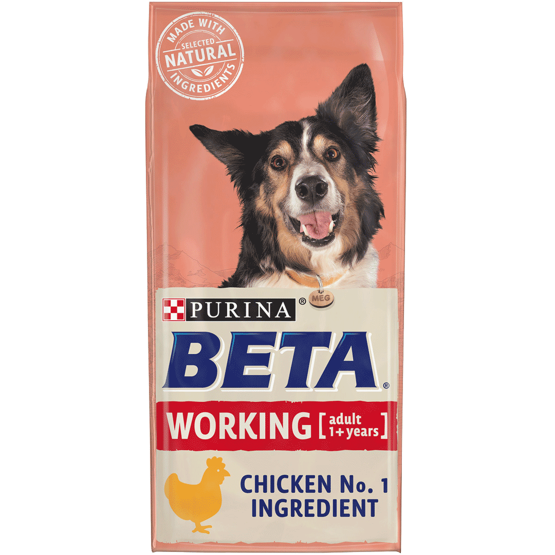 Beta puppy food sales 14kg