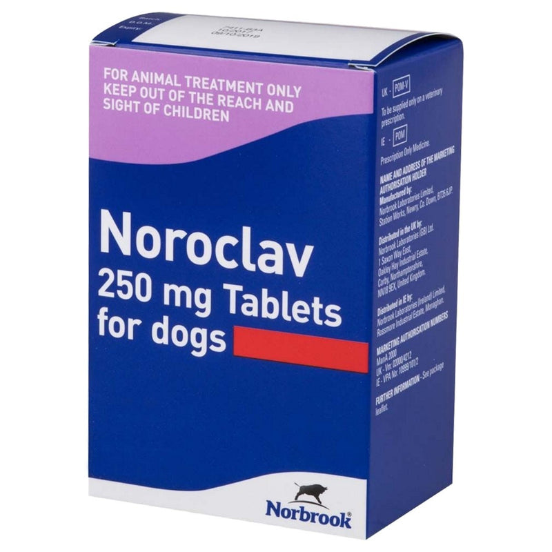 Noroclav Tablets for Dogs 250mg