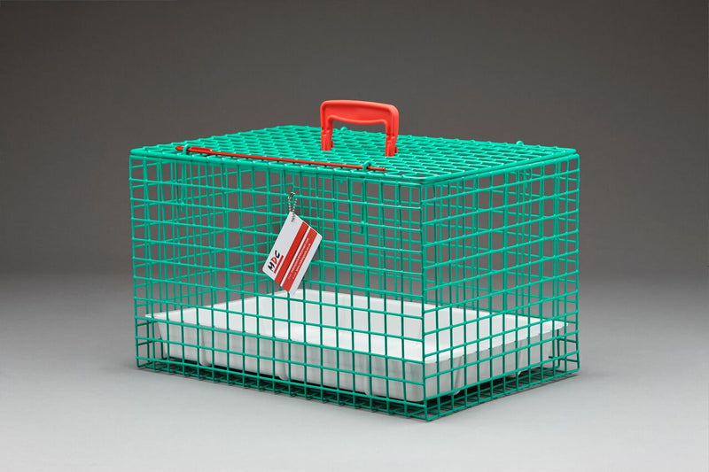 Wire Cat Basket Green