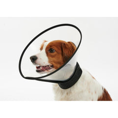 Buster Complete Collar (E Collar)