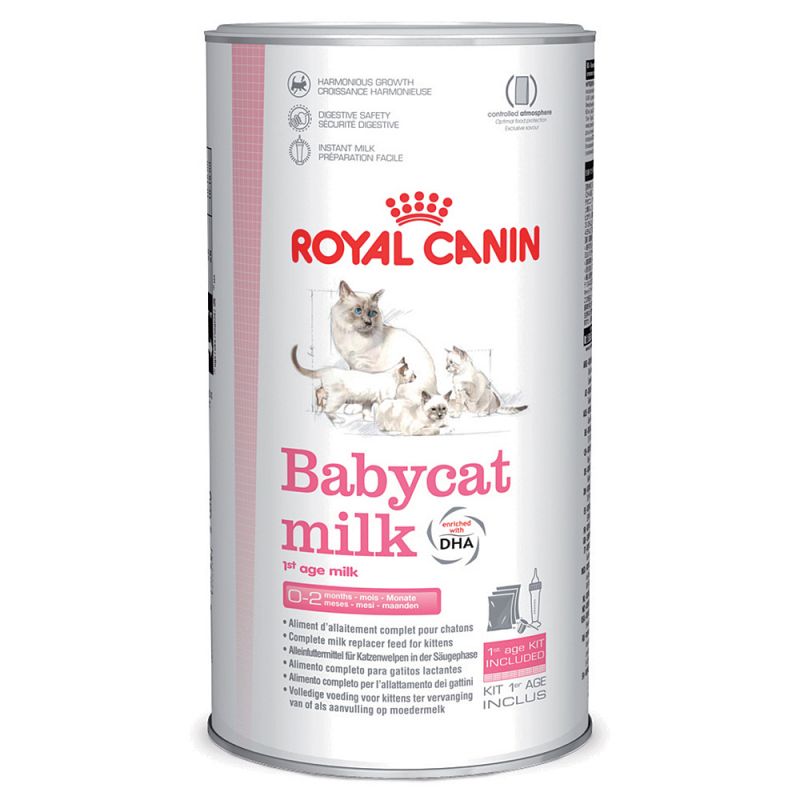 Cat milk royal canin shop