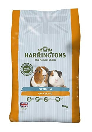 Harringtons Optimum Guinea Pig