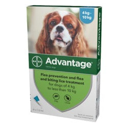 Advantage 100 Flea Treatment 4-10kg (Dogs)