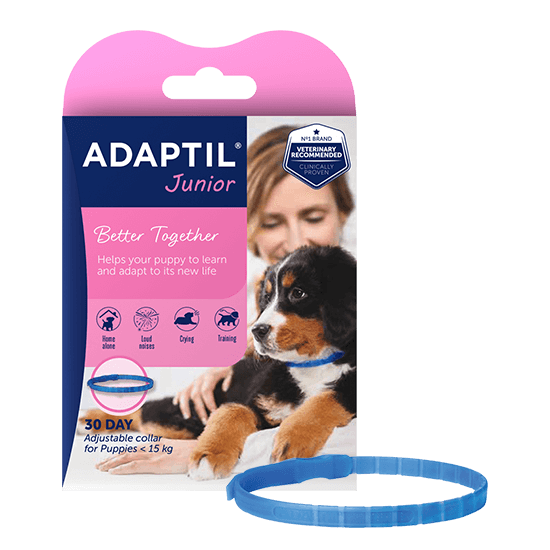 Adaptil Junior Collar