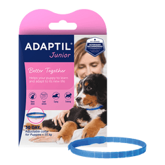 Adaptil Junior Collar