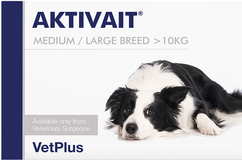 Aktivait Tablets for Dogs