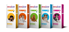 Bravecto Spot On for Dogs