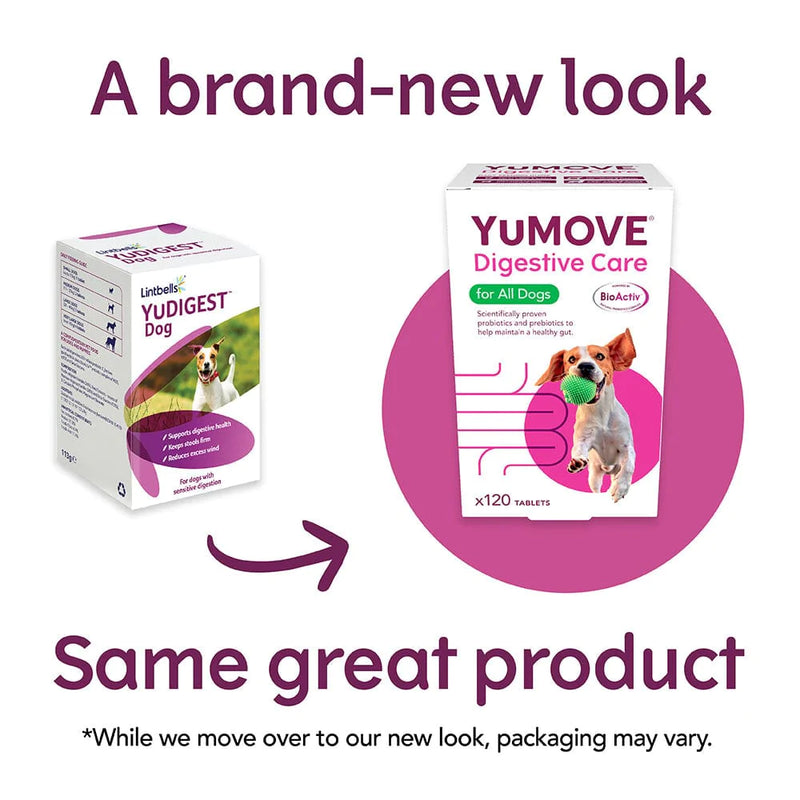 Yumove Digestive Care Tablets for Dogs (Yudigest)