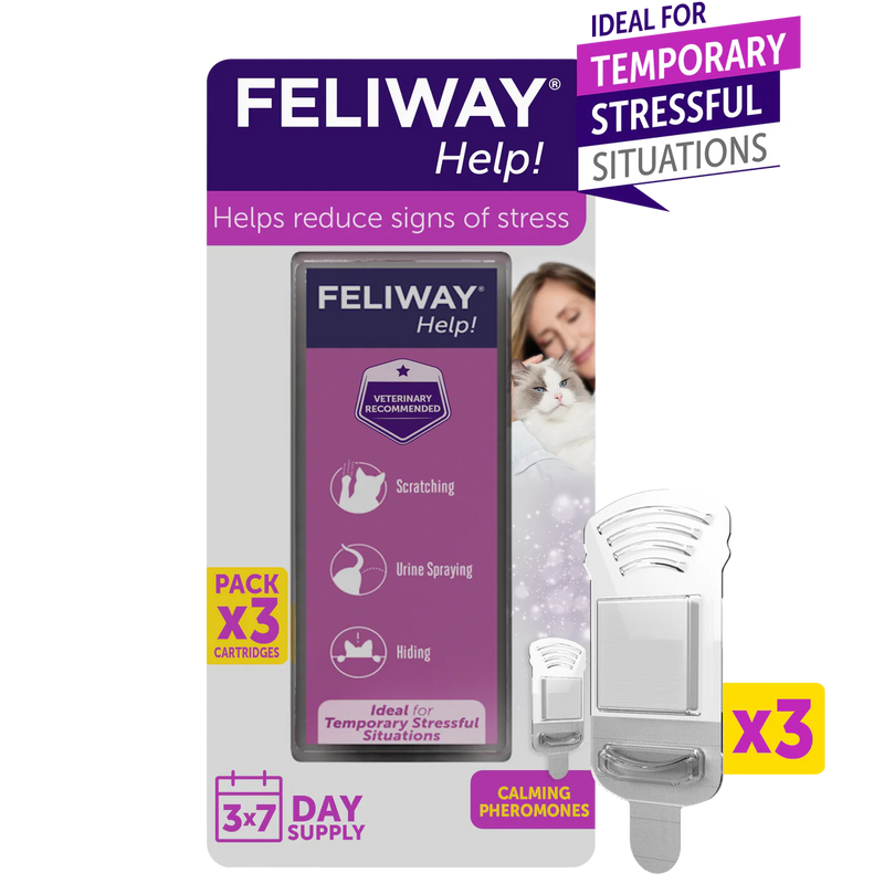 Feliway Help!