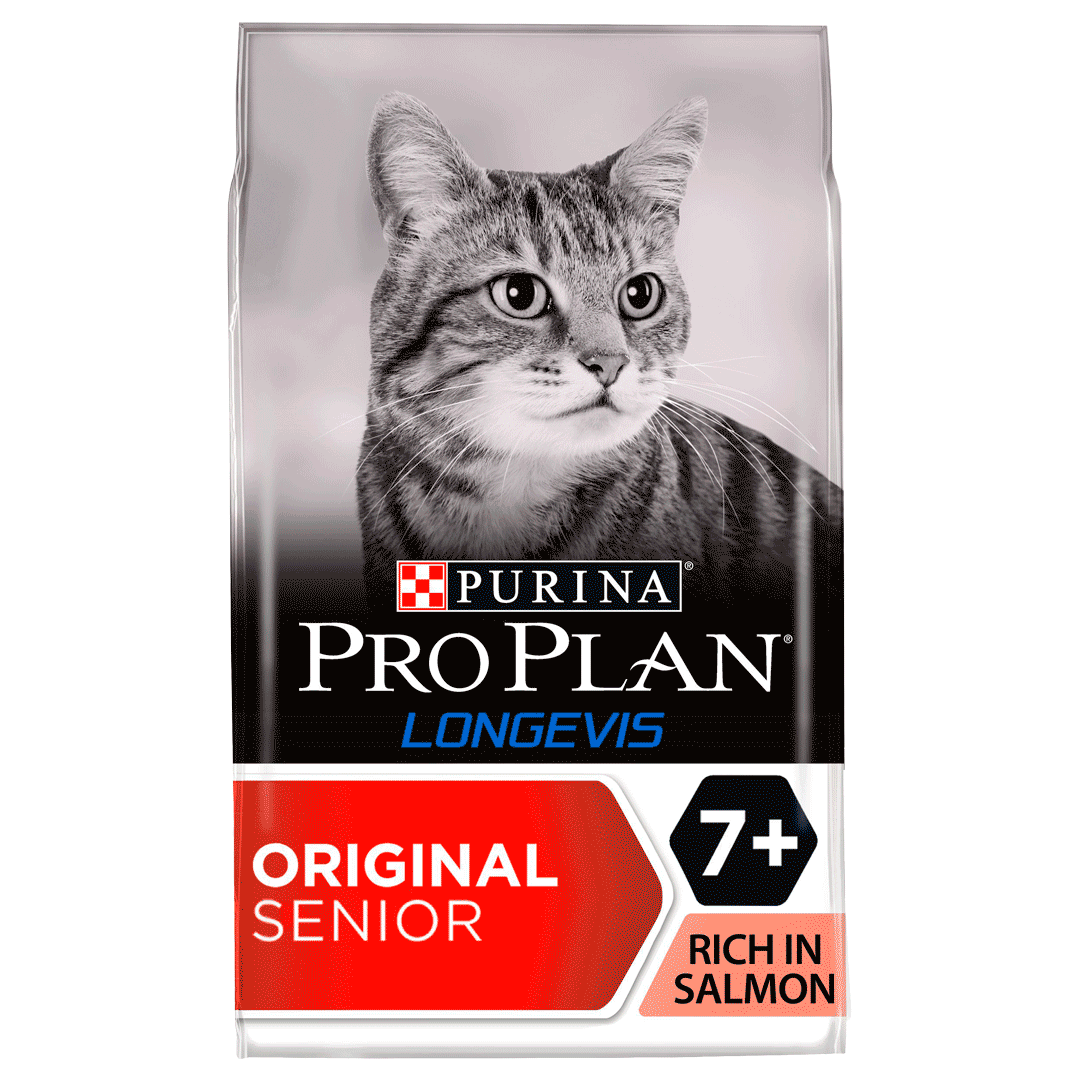 Pro plan best sale purina cat
