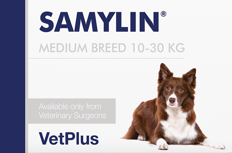 Samylin for Dogs & Cats