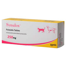 Synulox Tablets for Dogs & Cats 50mg & 250mg